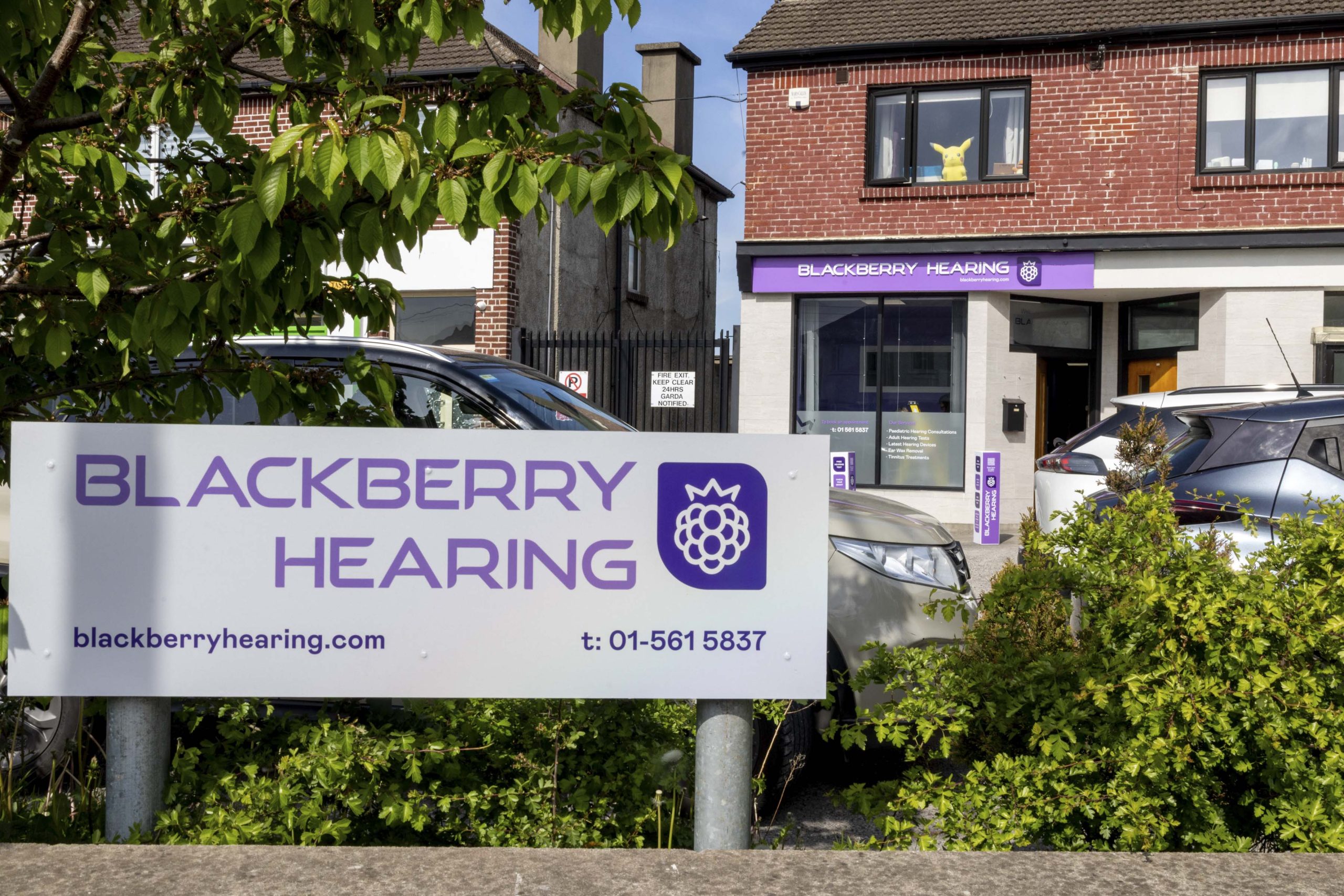 Blackberry Hearing acquires The Hearing Company, Crumlin